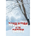 Revelation at the Snows