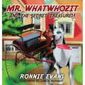 Mr. Whatwhozit