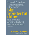 Big Wonderful Thing: A History of Texas