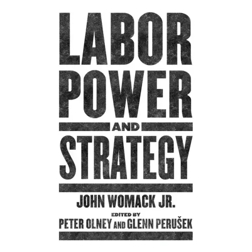 Labor Power and Strategy