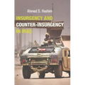 Insurgency and Counter-Insurgency in Iraq