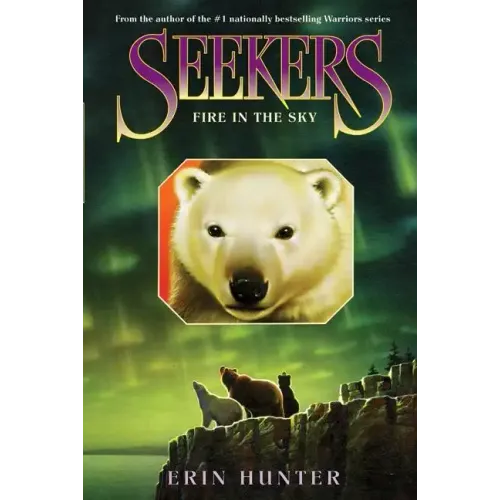 Seekers #5: Fire in the Sky