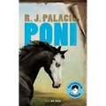 Poni / Pony