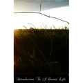 Introduction To A Devout Life