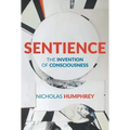 Sentience: The Invention of Consciousness