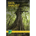 Data Analyst: Careers in data analysis