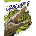 Crocodile