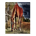 Magical Horses Colouring-In: Horse coloring book featuring natural Horses