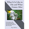 What It Is Like to Die and What Comes After: Conversations with Deceased People Who Describe What Happened After They Died