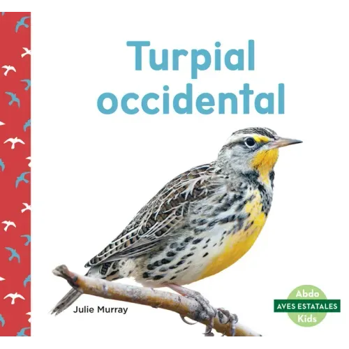 Turpial Occidental (Western Meadowlarks)