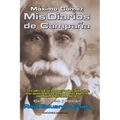 Máximo Gómez: MIS Diarios de Campaña