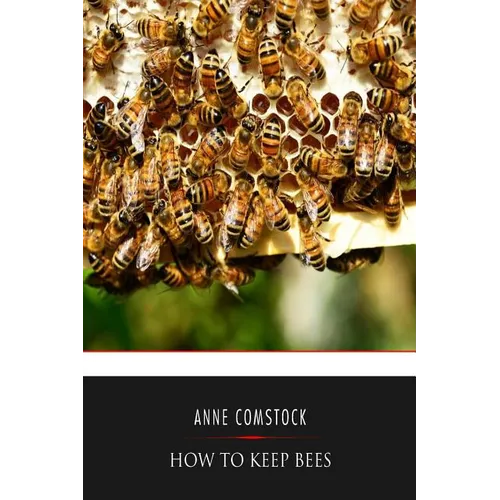 How to Keep Bees