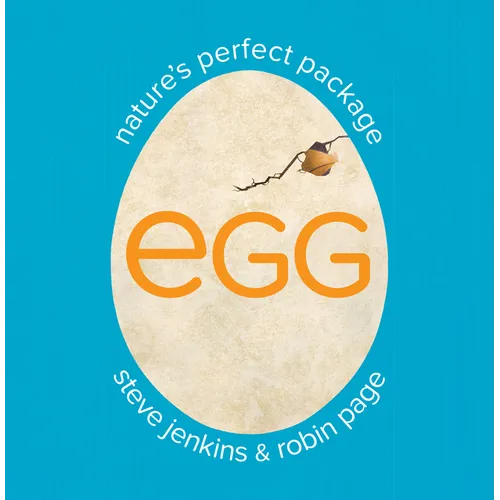 Egg: Nature's Perfect Package