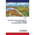 Cyanobacteria Cultivation in a Tubular Baffled Photobioreactor TBPBR