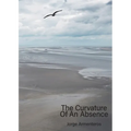The Curvature of An Absence