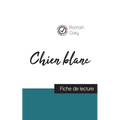 Chien blanc de Romain Gary (fiche de lecture et analyse complète de l'oeuvre)