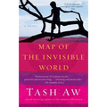 Map of the Invisible World