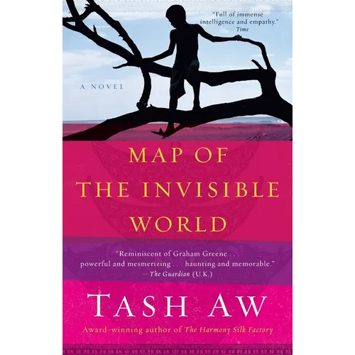 Map of the Invisible World