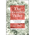 The Invisible Valley