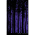 Night Vision