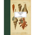 Vintage Prints: Shells: Vol. 9