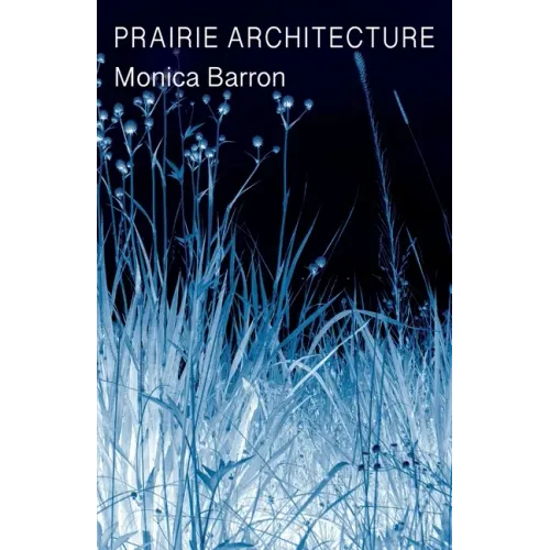 Prairie Architecture