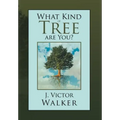 What Kind of Tree are You?
