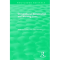 Occupational Socialization and Working Lives (1994)
