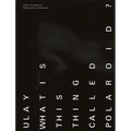 Ulay: What Is This Thing Called Polaroid?