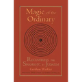 Magic of the Ordinary: Recovering the Shamanic in Judaism