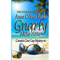Gnarly New Year! Corsario Cove Cozy Mystery #2