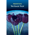 The Black Tulip