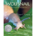 Wolfsnail: A Backyard Predator