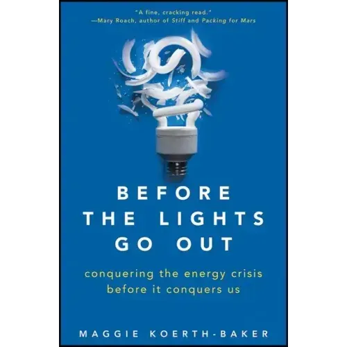 Before the Lights Go Out: Conquering the Energy Crisis Before It Conquers Us