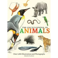 The Encyclopedia of Animals: More Than 1,000 Illustrations and Photographs