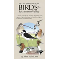 The Laws Pocket Guide to the Birds of the Sacramento Valley: Birds of the Sacramento Valley