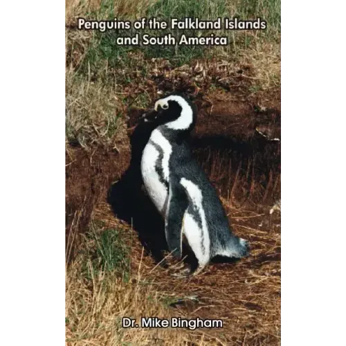 Penguins of the Falkland Islands and South America