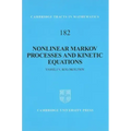 Nonlinear Markov Processes and Kinetic Equations