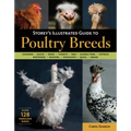 Storey's Illustrated Guide to Poultry Breeds: Chickens, Ducks, Geese, Turkeys, Emus, Guinea Fowl, Ostriches, Partridges, Peafowl, Pheasants, Quails, S