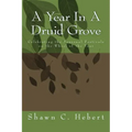 A Year In A Druid Grove: Celebrating the Seasonal Festivals on the Wheel of the Year
