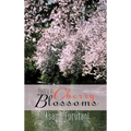 Poetry in Cherry Blossoms