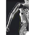 Technologies of the Gendered Body: Reading Cyborg Women