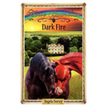 Dark Fire: Sometimes Horses Need a Little Magic