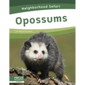 Opossums