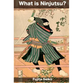 What is Ninjutsu?