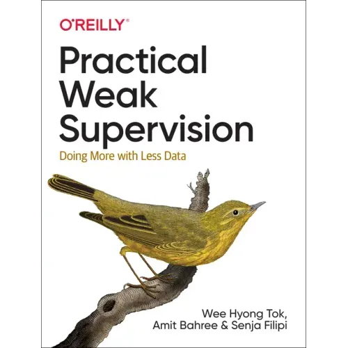 Practical Weak Supervision: Doing More with Less Data