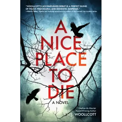 A Nice Place to Die: A DS Ryan McBride Novel