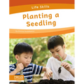 Planting a Seedling