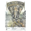 Metaphorosis January 2023