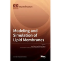 Modeling and Simulation of Lipid Membranes